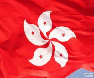 пазл Флаг Гонконга